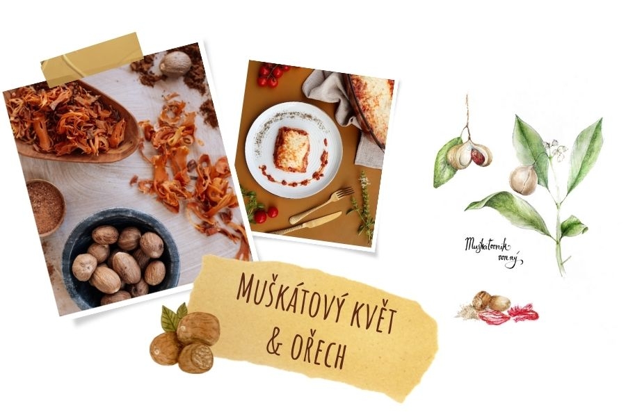Týden s kořením: Muškátový ořech & muškátový květ